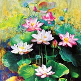 활짝 핀 연꽃의 우아한 자태(PK2000_3231)